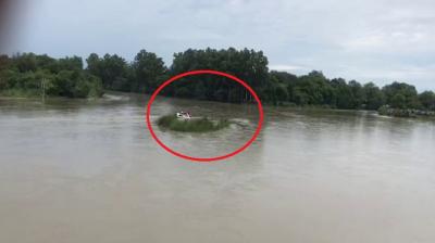 Father not bought jaguar car son BMW car canal