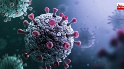  Punjab Corona Case News in punjabi 