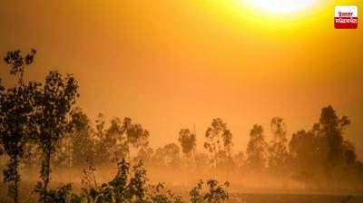 Punjab Weather Update