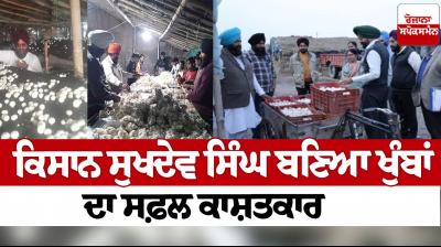 Farmer Sukhdev Singh became a successful mushroom grower