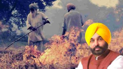  The effect of the hard work of the government! This time 20 percent less straw was burnt than last 3 years