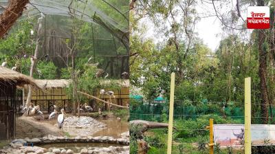 The country's largest and longest walk-in-aviary has become a center of attraction at Chhatbir Zoo.