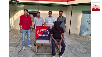 ਐਂਟੀ ਨਾਰਕੋਟਿਕਸ ਸੈੱਲ ਪੰਚਕੂਲਾ ਨੇ ਡਰੱਗ ਨੈੱਟਵਰਕ ਦਾ ਕੀਤਾ ਪਰਦਾਫਾਸ਼, ਮੁੱਖ ਗਾਂਜਾ ਤਸਕਰ ਨੂੰ ਕੀਤਾ ਕਾਬੂ