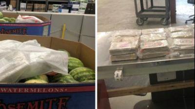 Indian-origin truck driver admits trafficking nearly 30 kg of cocaine into Canada