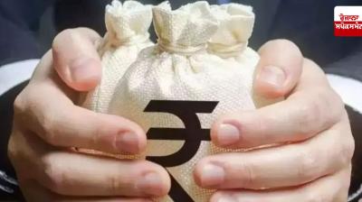 Number of millionaires in India increased by six percent in 2024, number of billionaires reached 191: Report