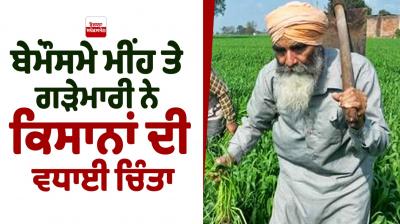 Unseasonal rain and hail have raised the concern of farmers News