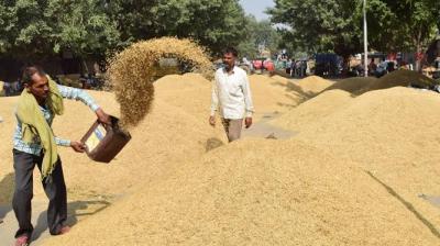 Government of Punjab and farmers