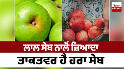 Green apple is stronger than red apple Health News