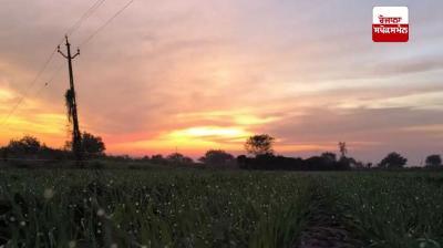 Punjab Weather Update News in punjabi 