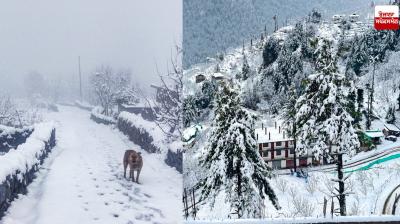 Heavy snowfall rages in Himachal Pradesh News in punjabi