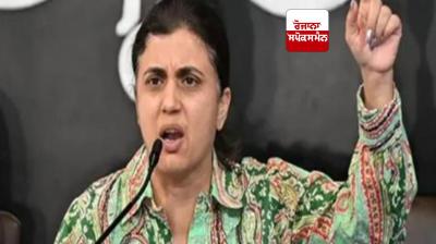 Colonel Bath case: Colonel Bath's family meets Punjab Governor, demands justice