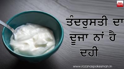 Curd