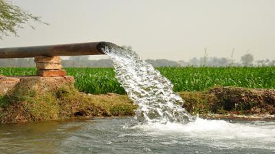 Direct sowing on 25 lakh acres will save 15% of water
