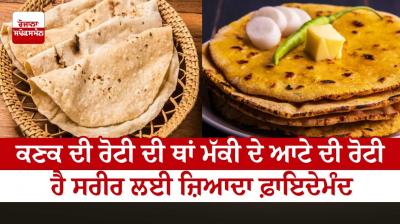  Instead of wheat chapati , corn flour chapatiis more beneficial for the body