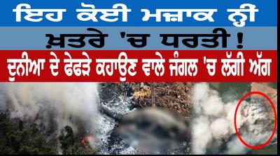 Amazon fire: The sky never goes dark while the rainforest burns