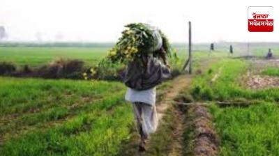 Maharashtra farmer gets Rs 6 relief for crop loss