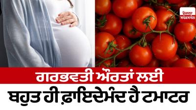 Tomato is very beneficial for pregnant women Heatlh News