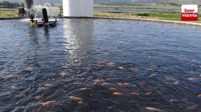 Fish farmers should pay special attention to these things