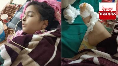 0-year-old cancer patient dies after being bitten by a rat