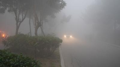 Cold wave continues in North India