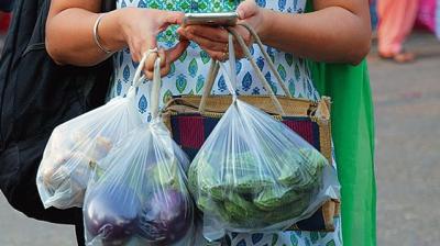 Single Use Plastic Ban