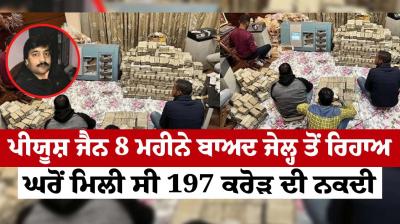 Piyush Jain released from jail after 8 months