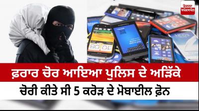 Man arrested on charge of stealing mobile phone worth five crore rupees