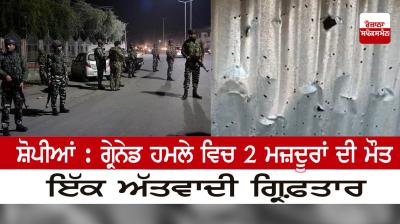 Shopian: 2 laborers killed in grenade attack 