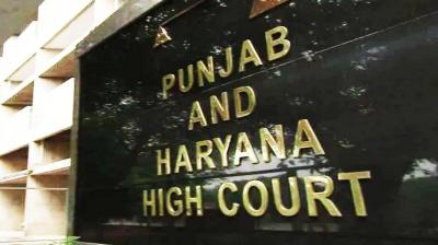 punjab haryana high court