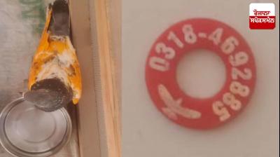 BSF jawans capture pigeons from border