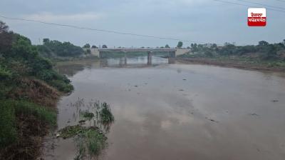 ਸੰਗਰੂਰ ਵਾਲਿਆਂ ਲਈ ਖ਼ਤਰੇ ਦੀ ਘੰਟੀ ! ਘੱਗਰ ਦਰਿਆ 'ਚ ਵਧਿਆ ਪਾਣੀ, ਪੂਰੇ ਜ਼ਿਲ੍ਹੇ 'ਚ ਅਲਰਟ ਜਾਰੀ