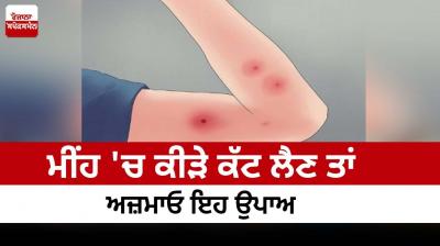 If you get bitten by insects in the rain, try this remedy