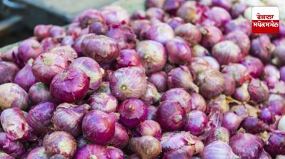 Central Government withdraws 20% duty on onion exports Latest news in Punjabi