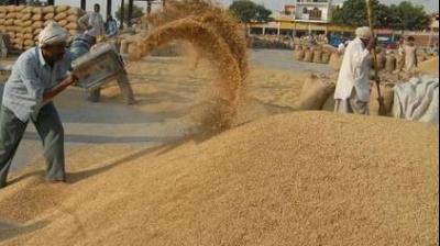 Paddy Procurement