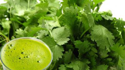 Coriander juice is very beneficial for health