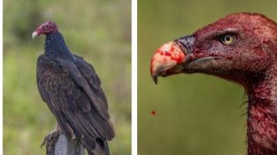 Image: For representation purpose only. 