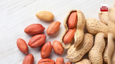 Consume peanuts in winter, many diseases will be removed