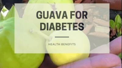  Guava controls Diabetes