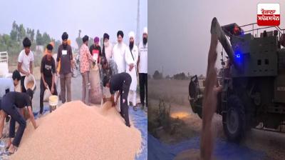 Wheat donated for the langars of Sri Hazur Sahib Nadala