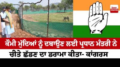 PM Modi's cheetah release 'tamasha' orchestrated to avoid national issues: Congress