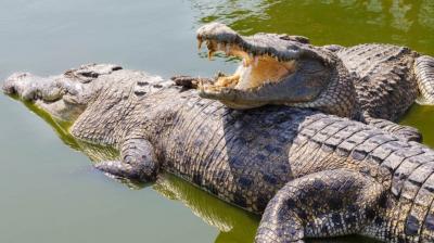 Image: For representation purpose only.