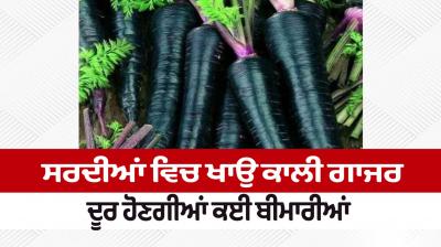 Health Benefits Of Black Carrot