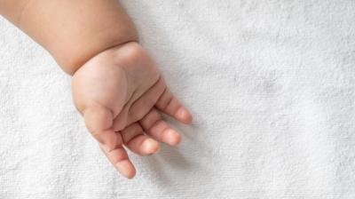  The head and hand of the newborn found lying in the market,