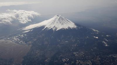 Image for representation purpose only.