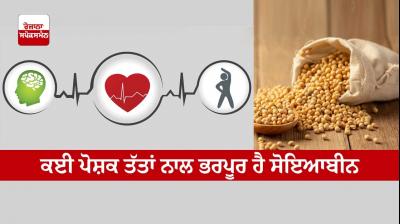  Soybean is rich in many nutrients