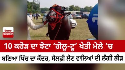  10 crore jhota 'Golu-to' became the center of attraction in the agricultural fair