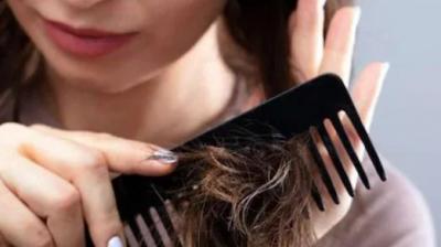 Which of the plastic or wooden hair combs is better for your hair? Let's find out