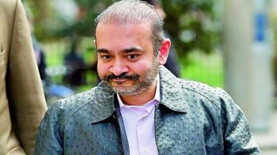 Nirav Modi's bail plea dismissed