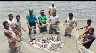 ban on fishing lifted 
