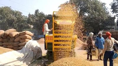 Paddy lifting in Punjab crosses 150 lakh metric tonnes